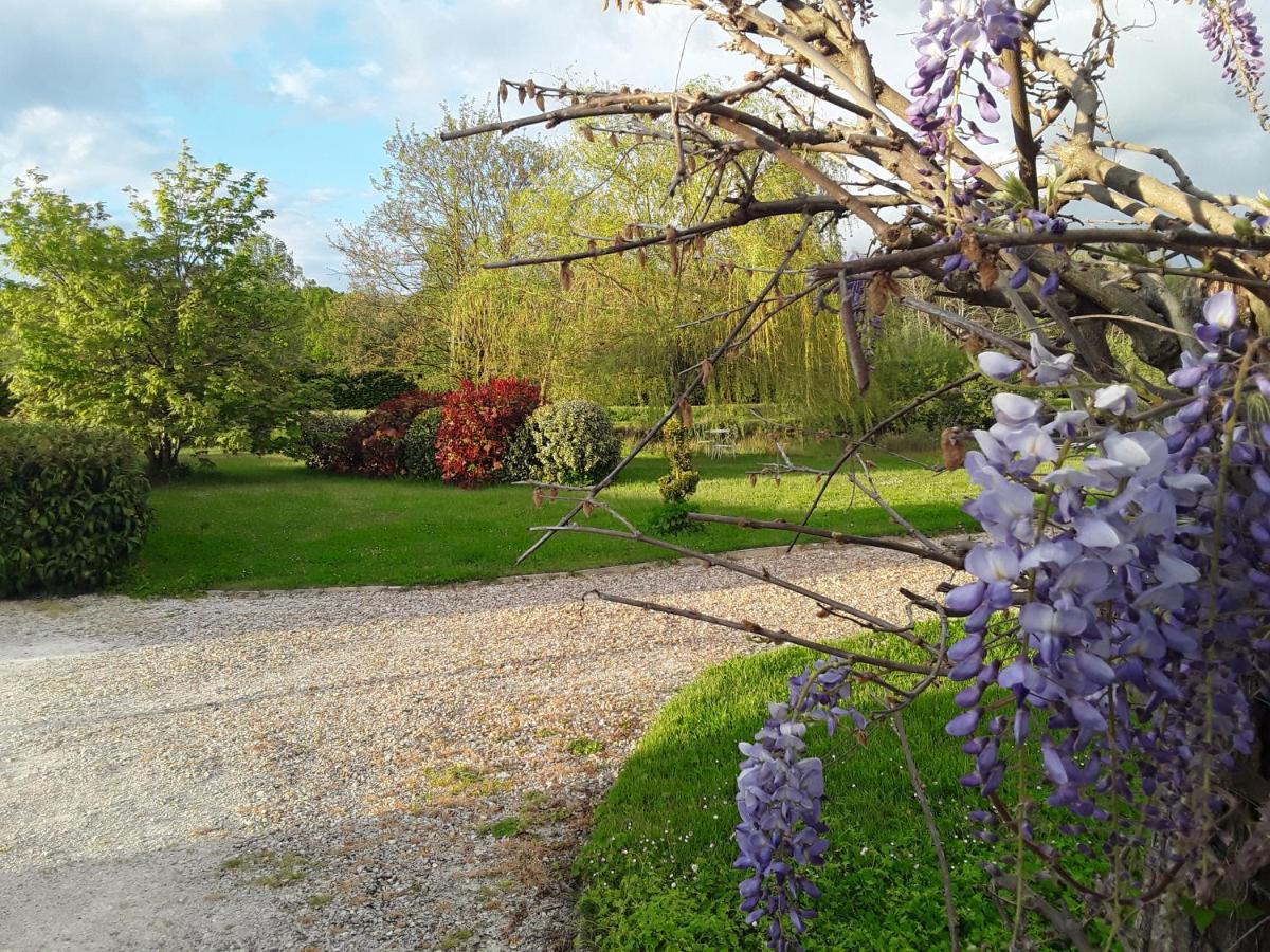 La Belviniere Chambres Et Table D'Hotes Tour-en-Sologne Exteriér fotografie