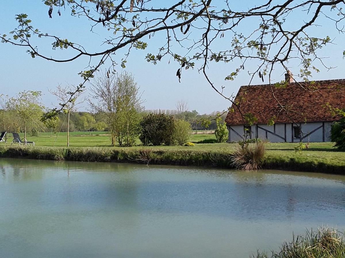La Belviniere Chambres Et Table D'Hotes Tour-en-Sologne Exteriér fotografie