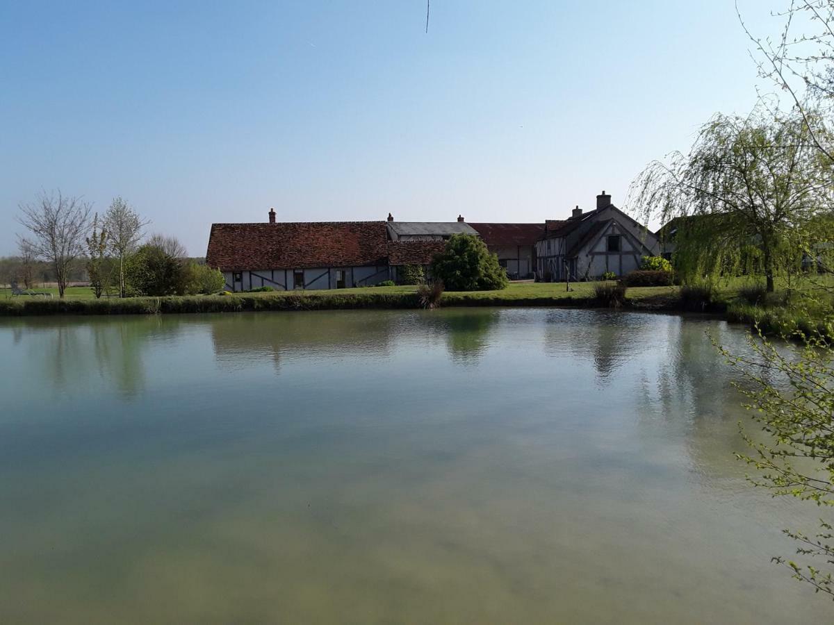 La Belviniere Chambres Et Table D'Hotes Tour-en-Sologne Exteriér fotografie