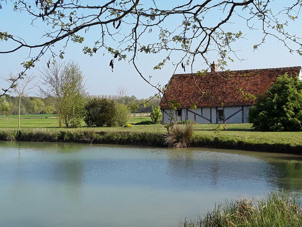 La Belviniere Chambres Et Table D'Hotes Tour-en-Sologne Exteriér fotografie
